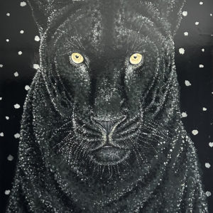 La panthère incarne l’élégance, la discrétion et la puissance cachée. Elle rappelle combien les trésors du bassin du Congo peuvent être méconnus et menacés.