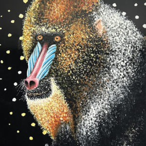 Originaire des forêts denses du bassin du Congo, ce primate symbolise la force sociale et l’intelligence.