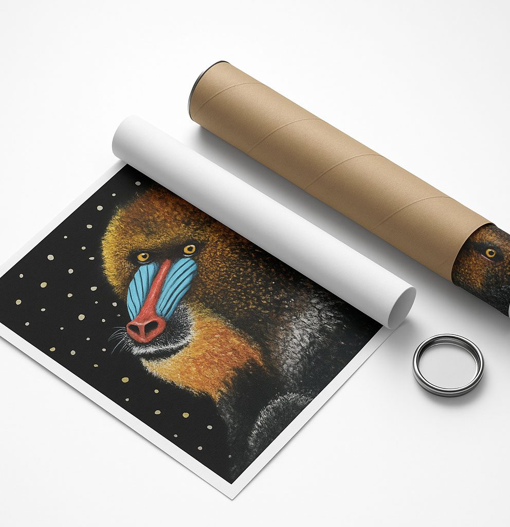 Affiche boutique Tiras qualité giclée